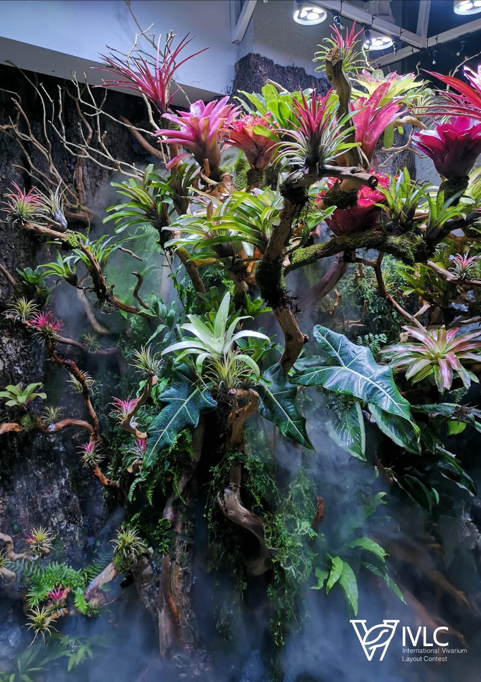 Vivariums