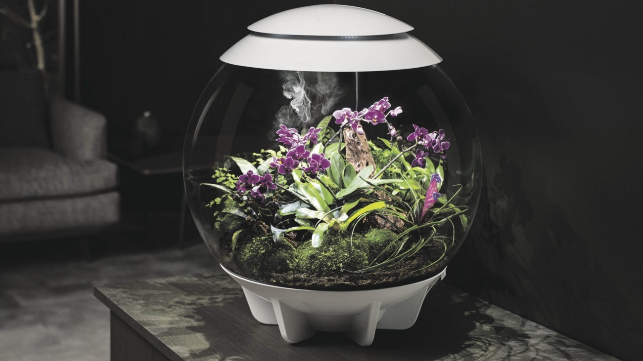 OASE-Competition-image-scaled