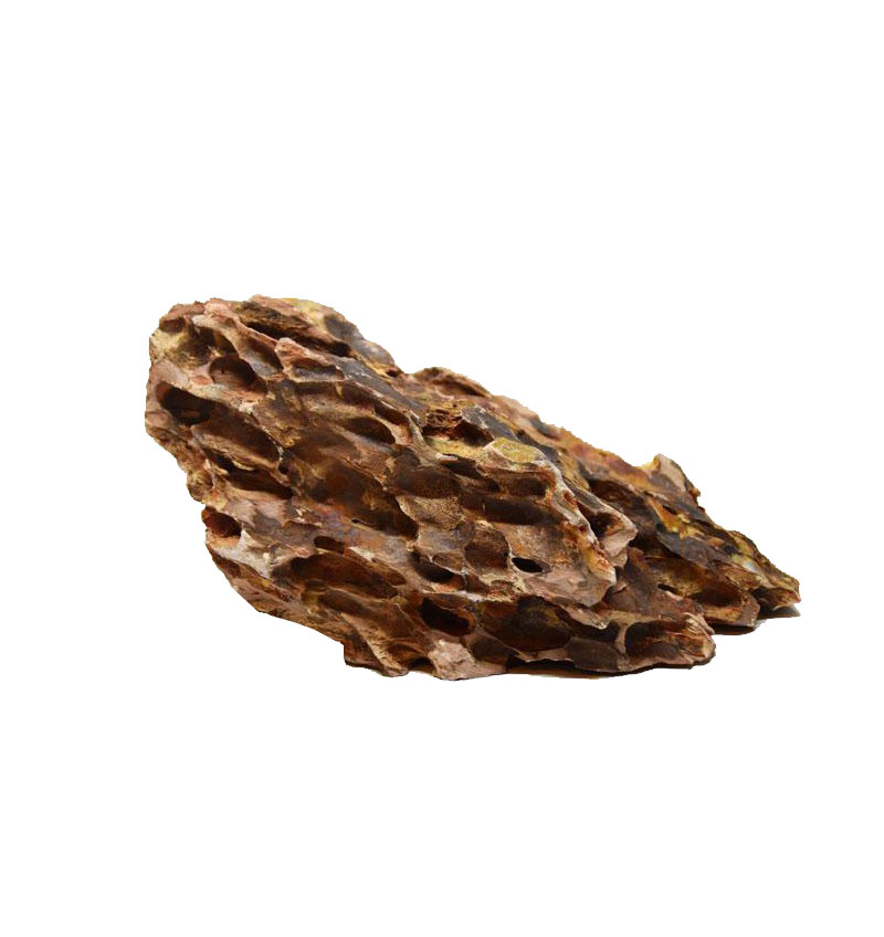 Alveolate Aquarium Rock - Middium / 18- 23CM / Approx. 1.8-2 KG Per Piece
