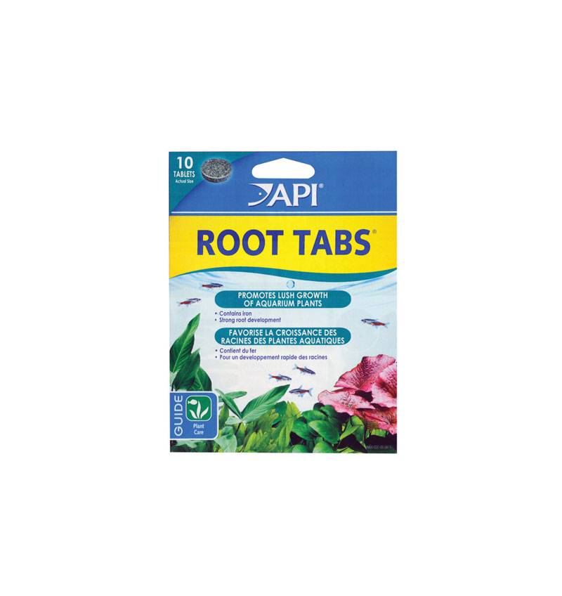 API Root Tabs