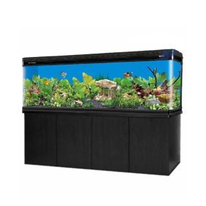 Boyu Modern Aquarium With Cabinet