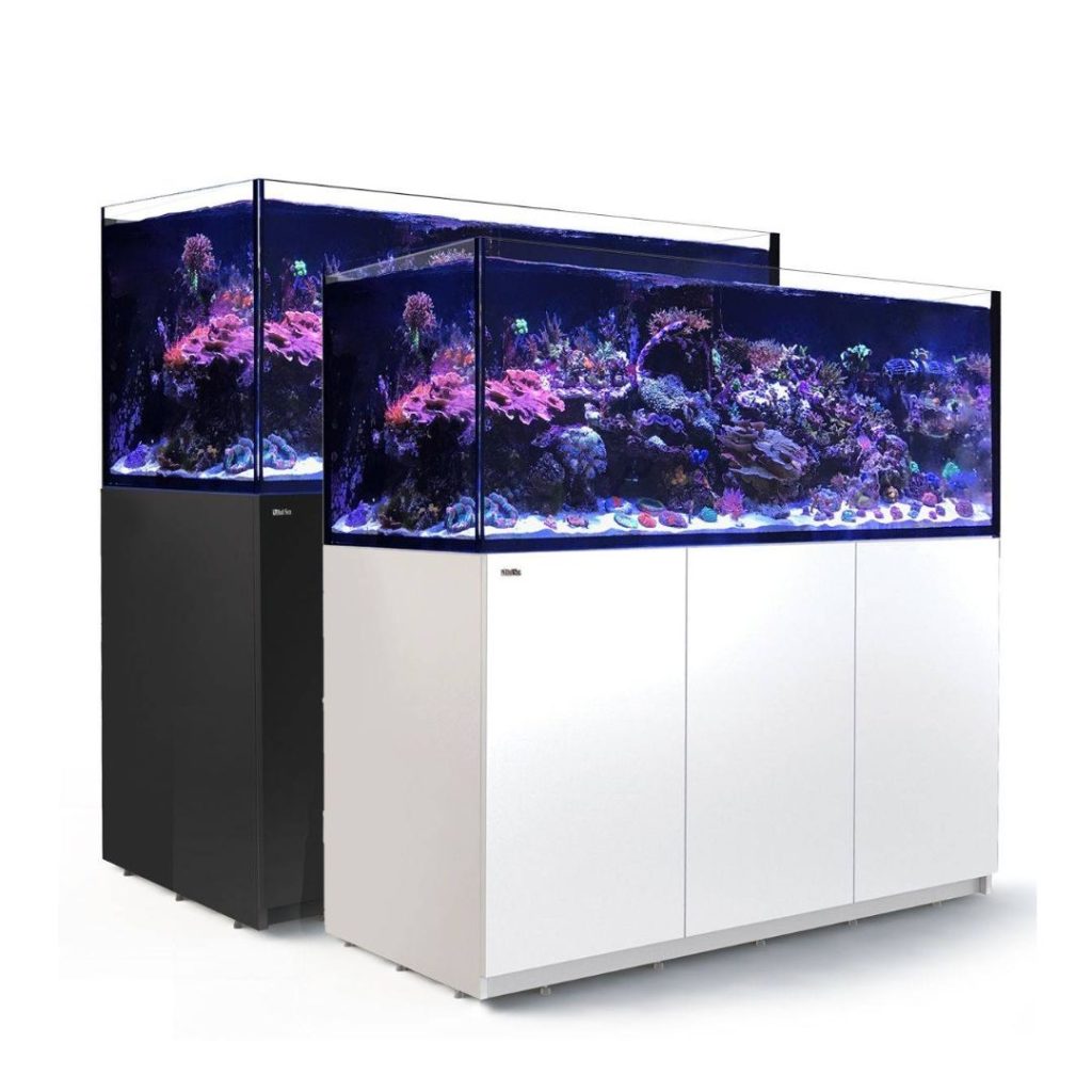 Red Sea Reefer 750 G2