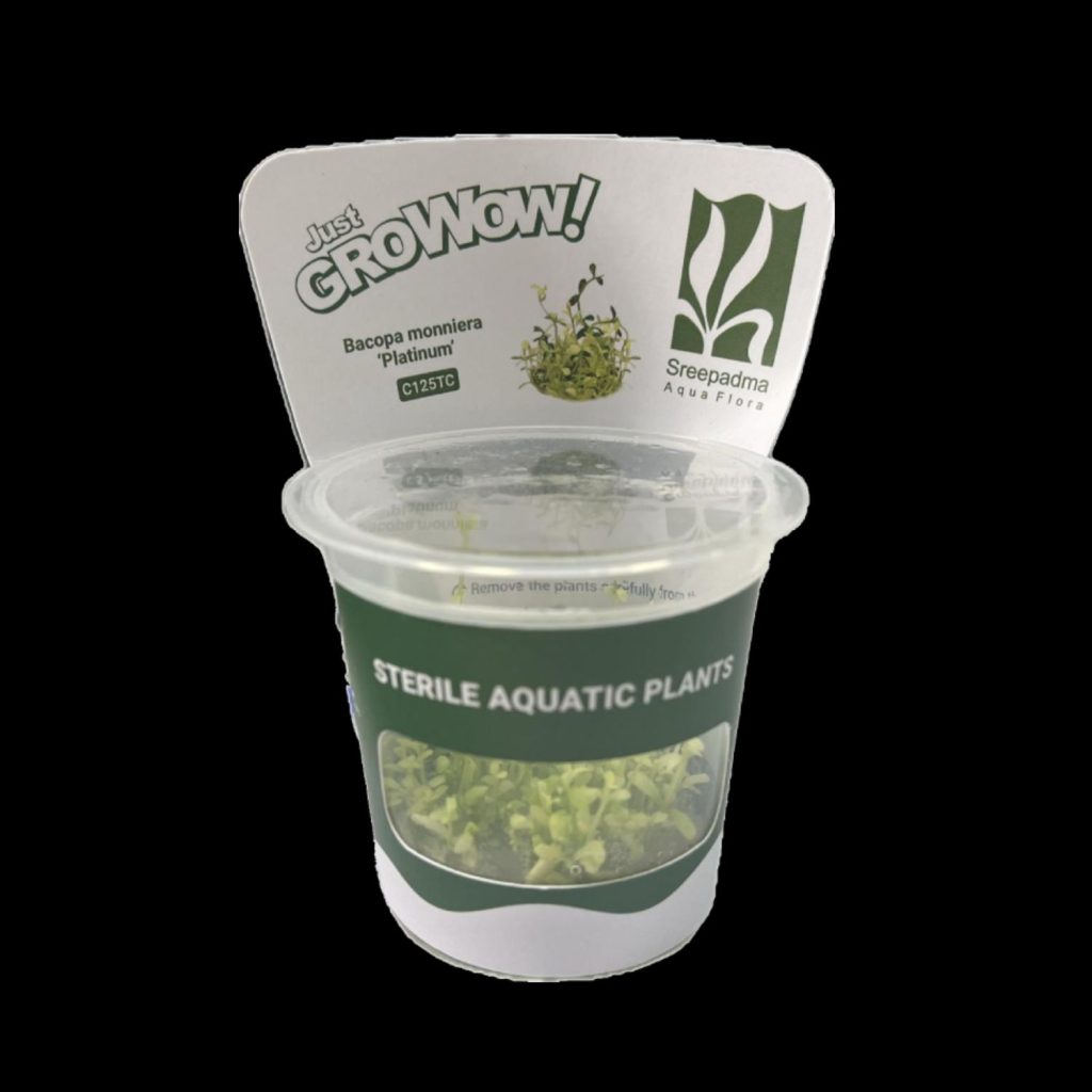 Bacopa Monnieri Platinum
