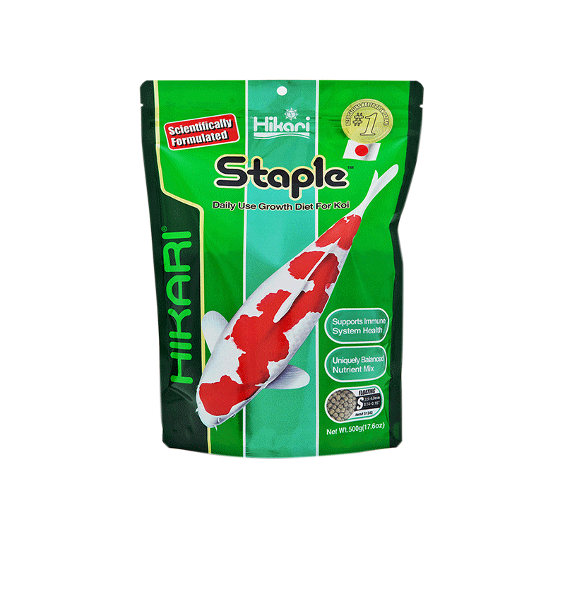 Hikari Staple 500g