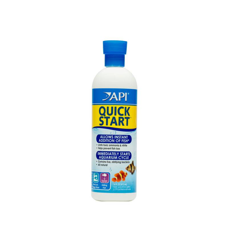 API Quick Start