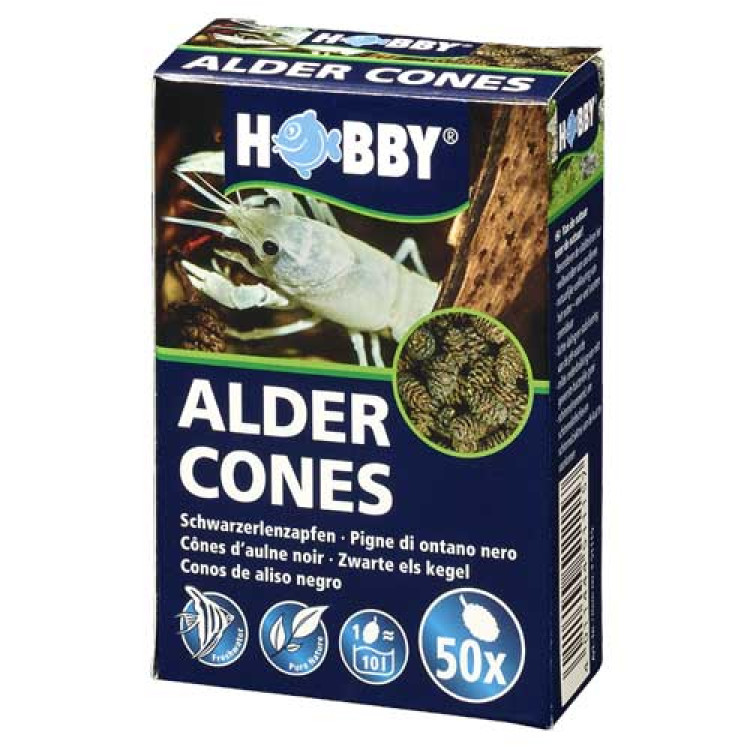 Hobby Alder Cones (50pcs)