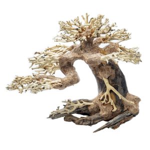 Bonsai Driftwood Tree