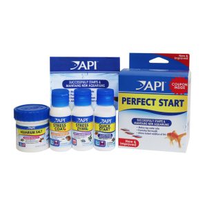 API Perfect Start