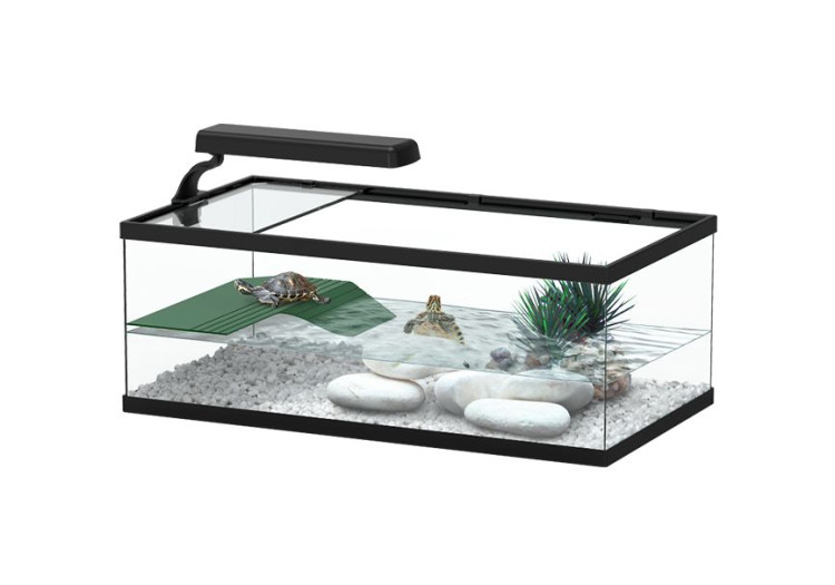 Terratlantis Tortum Turtle Tank 55
