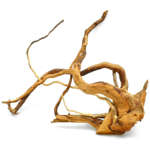 Wood Root /Per Piece